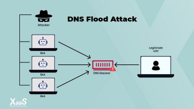 حمله DNS Flood چیست؟