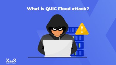 حمله QUIC Flood چیست؟