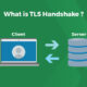 TLS handshake چیست؟